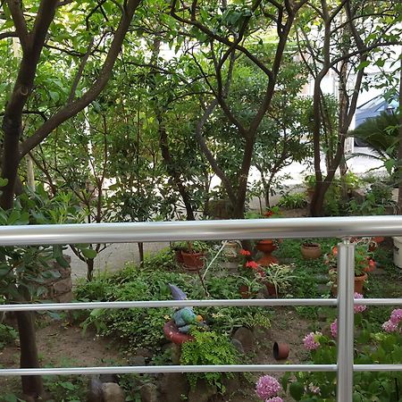 Apartmani Bonik 부드바 외부 사진